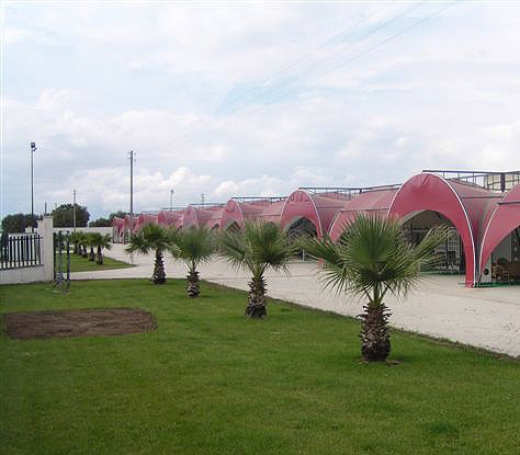 Arcostruttura